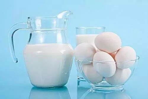 常见蛋白质的补充食物鸡蛋和牛奶