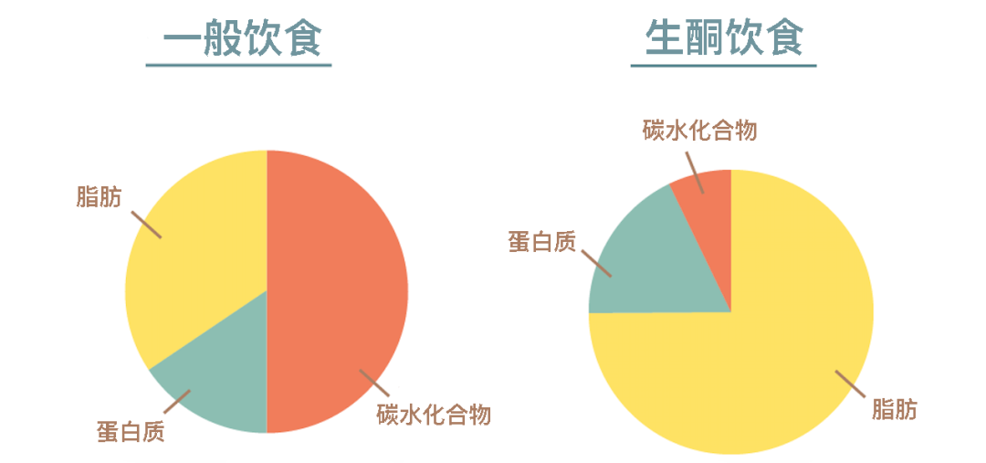 一般饮食和生酮饮食的结构配比