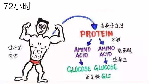 胰岛素休息