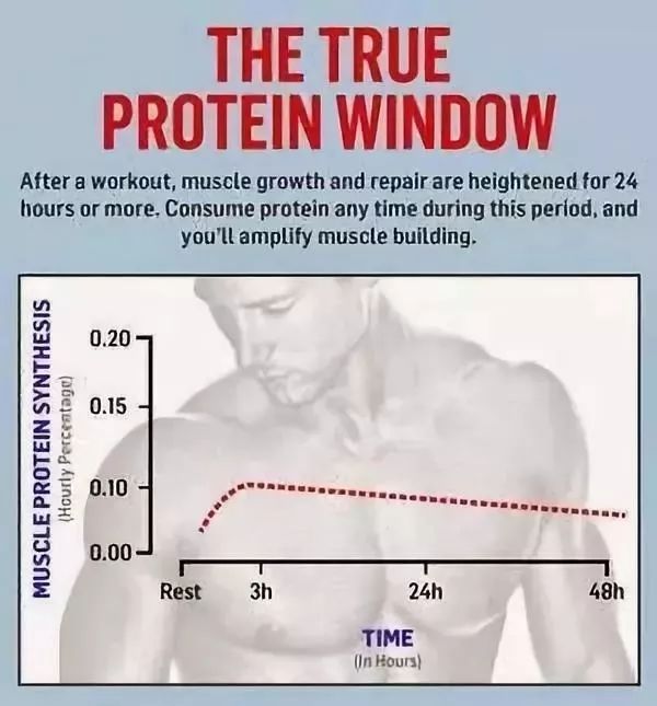 肌肉蛋白的合成速率