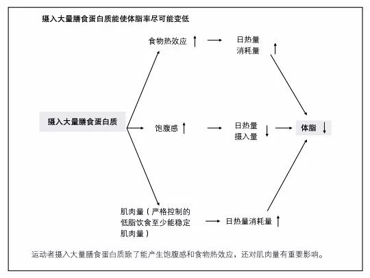 新陈代谢环境