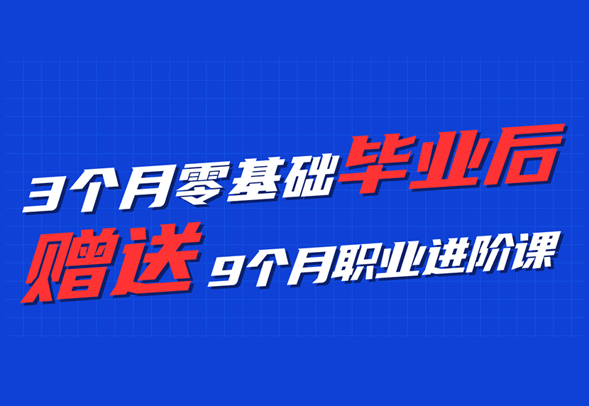 【体德特色课程】3个月零基础+赠送9个月职业进阶课