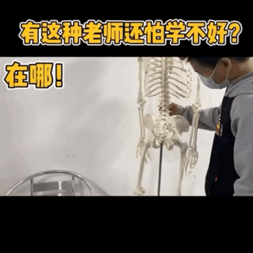 表情包