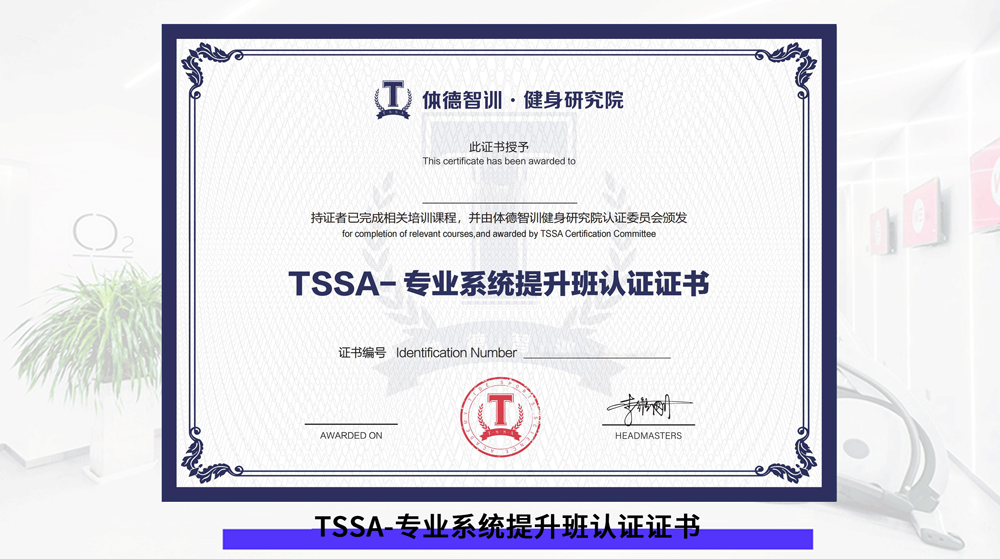 TSSA-专业系统提升班认证证书