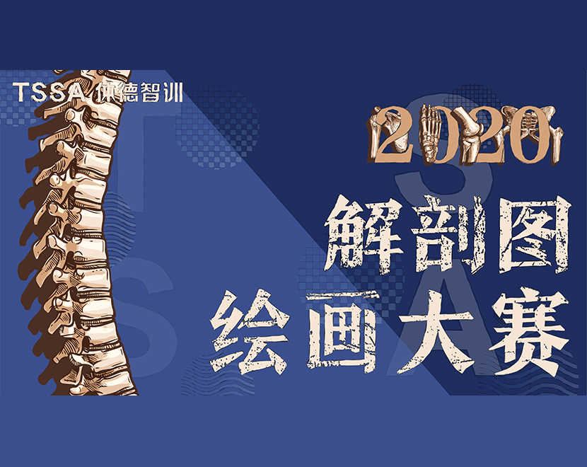 体德学院解剖图绘画大赛